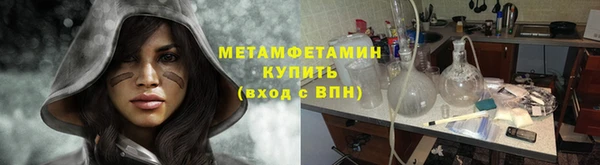 прущие крисы Ельня