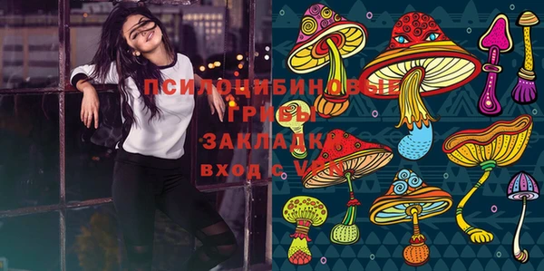 мдма Горняк