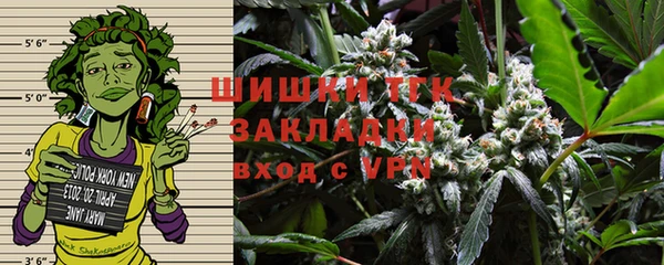 мдпв Гусев