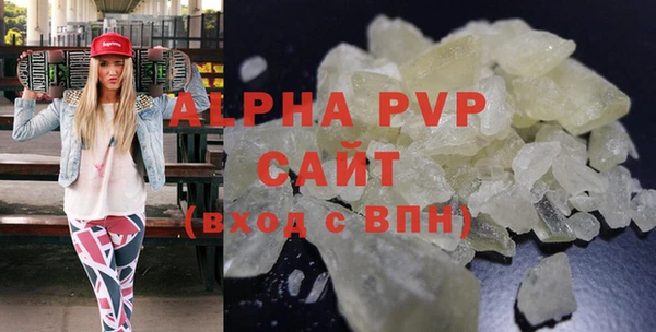 СК Тайга