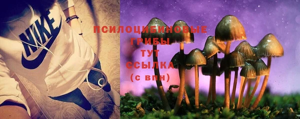 гидра Горнозаводск